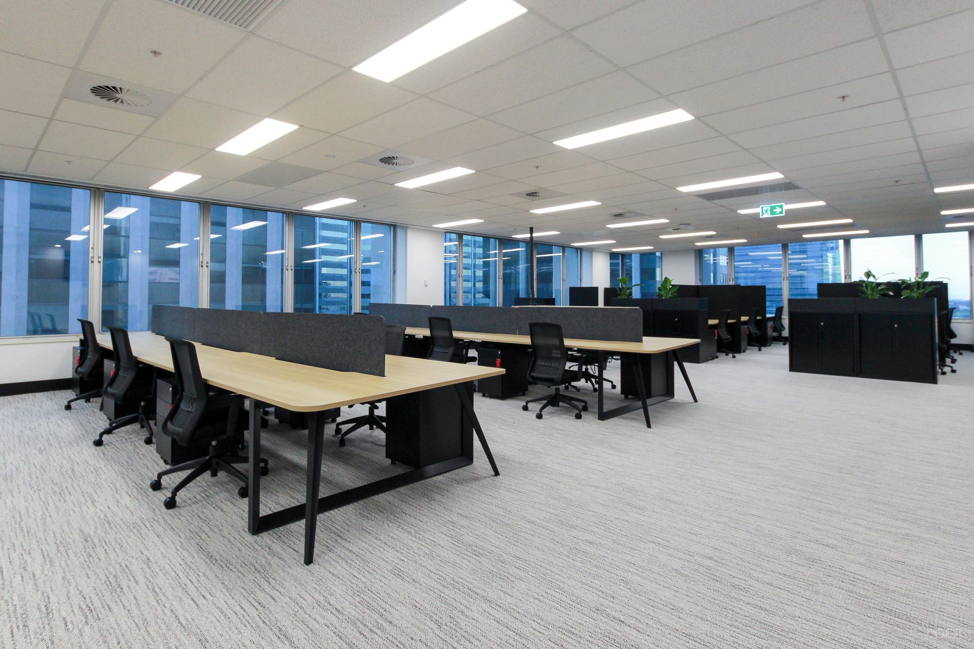 20221106 IMG 6825 1 Plancare 3